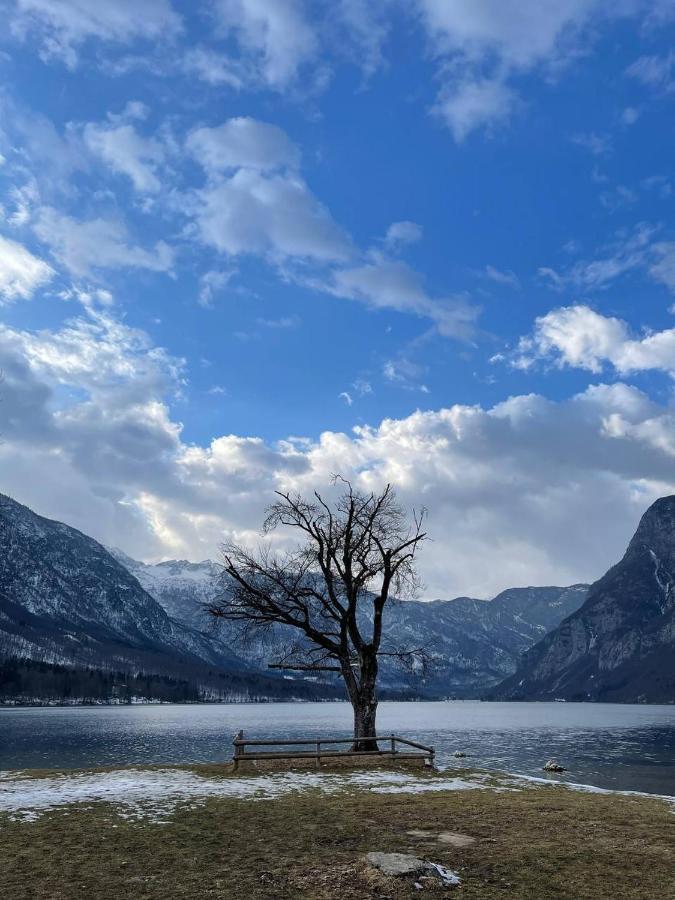 Remarkable Home Bohinj Lake Екстер'єр фото